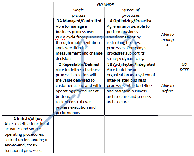 Process maturity matrix